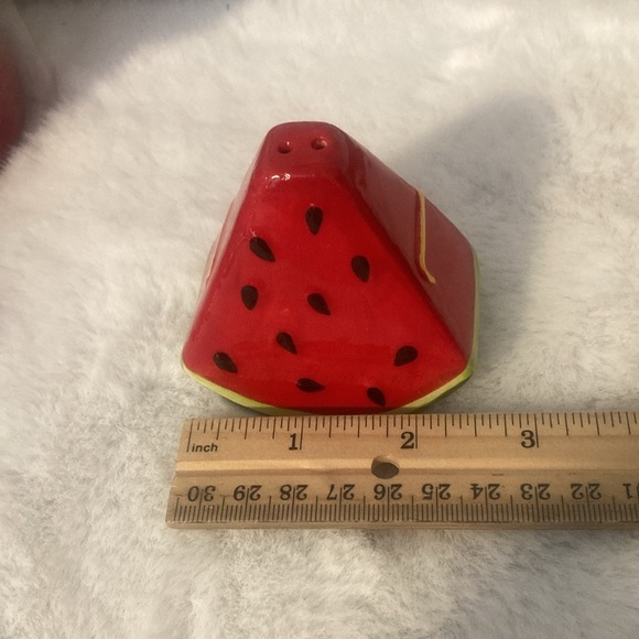 Boston Warehouse 2019 Fiesta Watermelon Shakers - Picture 6 of 10